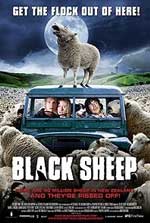 Black Sheep