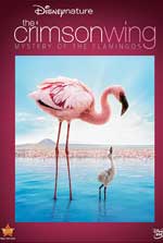 Disneynature: Crimson Wing