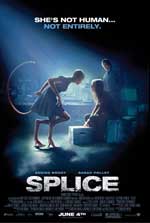 Slice
