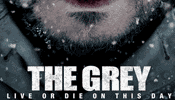 The Grey