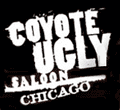 Coyote Ugly