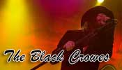 The Black Crowes