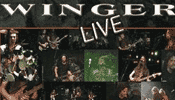 Winger Live