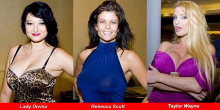 Lady Divina - Rebecca Scott - Taylor Wayne