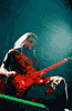 Lamb of God
