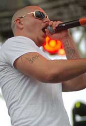 Pitbull